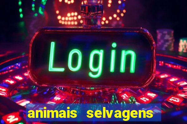 animais selvagens fotos e nomes